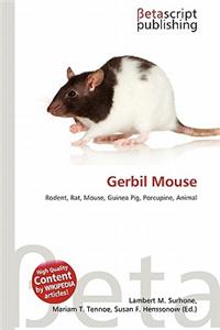 Gerbil Mouse