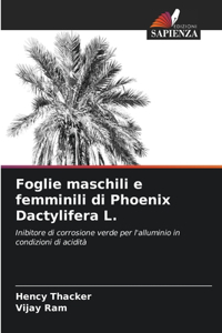 Foglie maschili e femminili di Phoenix Dactylifera L.