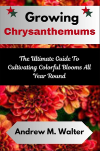 Growing Chrysanthemums