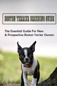 Boston Terrier Breeding Guide