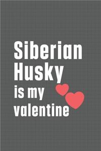 Siberian Husky is my valentine