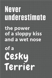 Never underestimate the power of a sloppy kiss and a wet nose of a Cesky Terrier