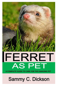 Ferret as Pet