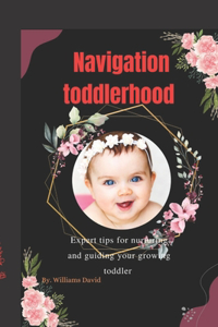 Navigating Toddlerhood