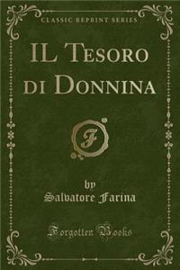 Il Tesoro Di Donnina (Classic Reprint)