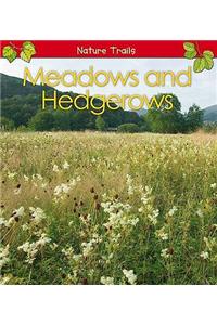 Meadows and Hedgerows