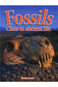 Fossils