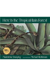 Here Is the Tropical Rain Forest