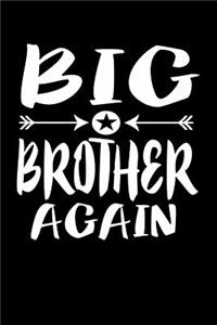 Big Brother Again