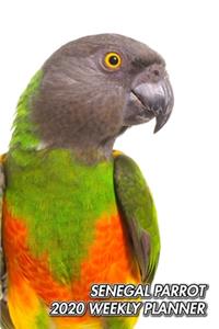Senegal Parrot 2020 Weekly Planner