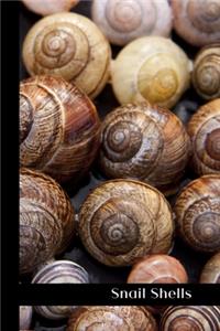 Snail Shells