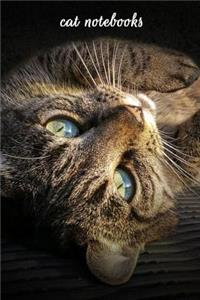 Cat Notebooks