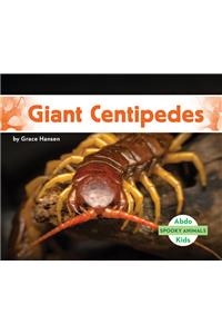 Giant Centipedes