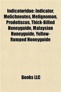 Indicatoridae: Indicator, Melichneutes, Melignomon, Prodotiscus, Thick-Billed Honeyguide, Malaysian Honeyguide, Yellow-Rumped Honeygu
