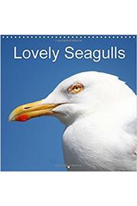 Lovely Seagulls 2018