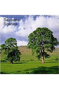 Seasonal Scenes 2018