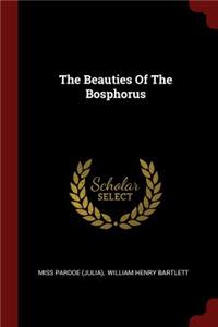 The Beauties Of The Bosphorus