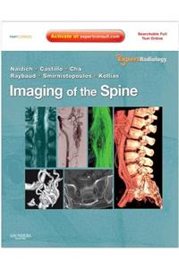 Imaging of the Spine