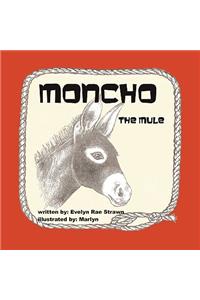 Moncho the Mule