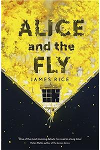 Alice and the Fly