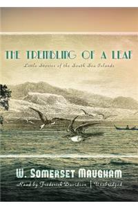 The Trembling of a Leaf