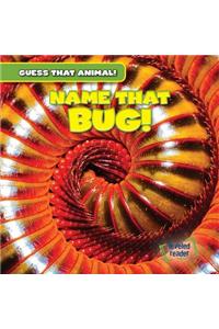 Name That Bug!