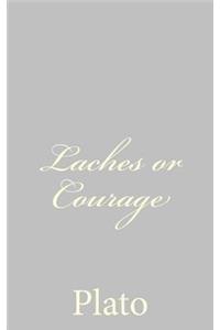 Laches or Courage