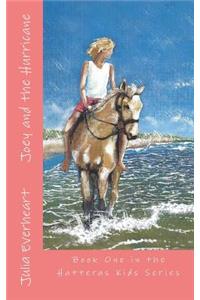 Joey and the Hurricane: Book 1 in the Hatteras Kids Series