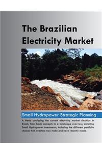 The Brazilian Electricity Market
