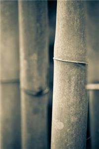 Mind Blowing Bamboo Journal