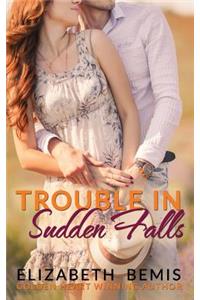 Trouble in Sudden Falls