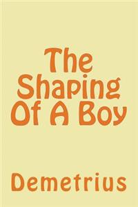 Shaping Of A Boy