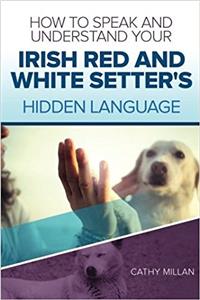 How to Speak and Understand Your Irish Red and White Setter's Hidden Language