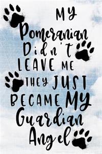 My Pomeranian Didn't Leave Me They Just Became My Guardian Angel