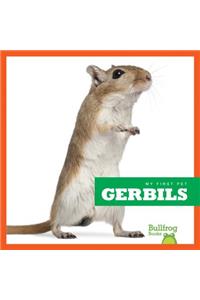 Gerbils