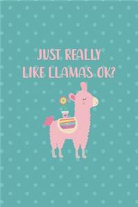 Just Really Like Llamas Ok?