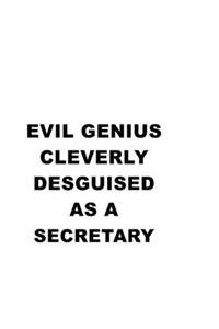 Evil Genius Cleverly Desguised As A Secretary