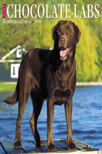 Just Chocolate Labs 2018 Wall Calendar (Dog Breed Calendar)