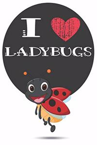 I Heart Ladybugs