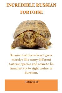 Incredible Tortoise