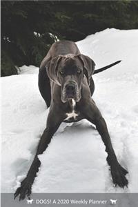 DOGS! A 2020 Weekly Planner