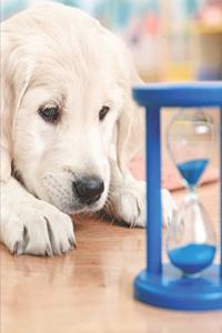 2020 Weekly Planner Cute Lab Puppy Watches Sands Through Hourglass 134 Pages