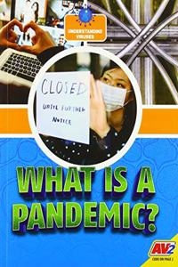 What Is a Pandemic?