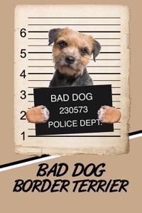 Bad Dog Border Terrier