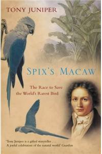 Spix's Macaw