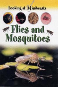 MINIBEASTS FLIES & MOSQUITOES