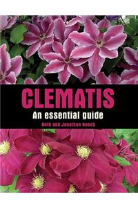 Clematis