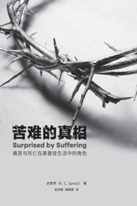 苦难的真相：痛苦与死亡在基督徒生活中的角色 Surprised by suffering