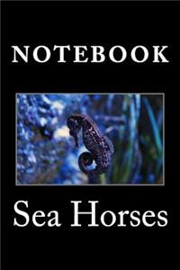 Sea Horses