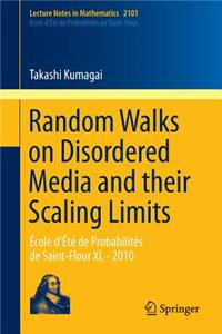 Random Walks on Disordered Media and Their Scaling Limits